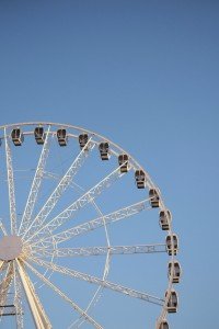12 Image 12