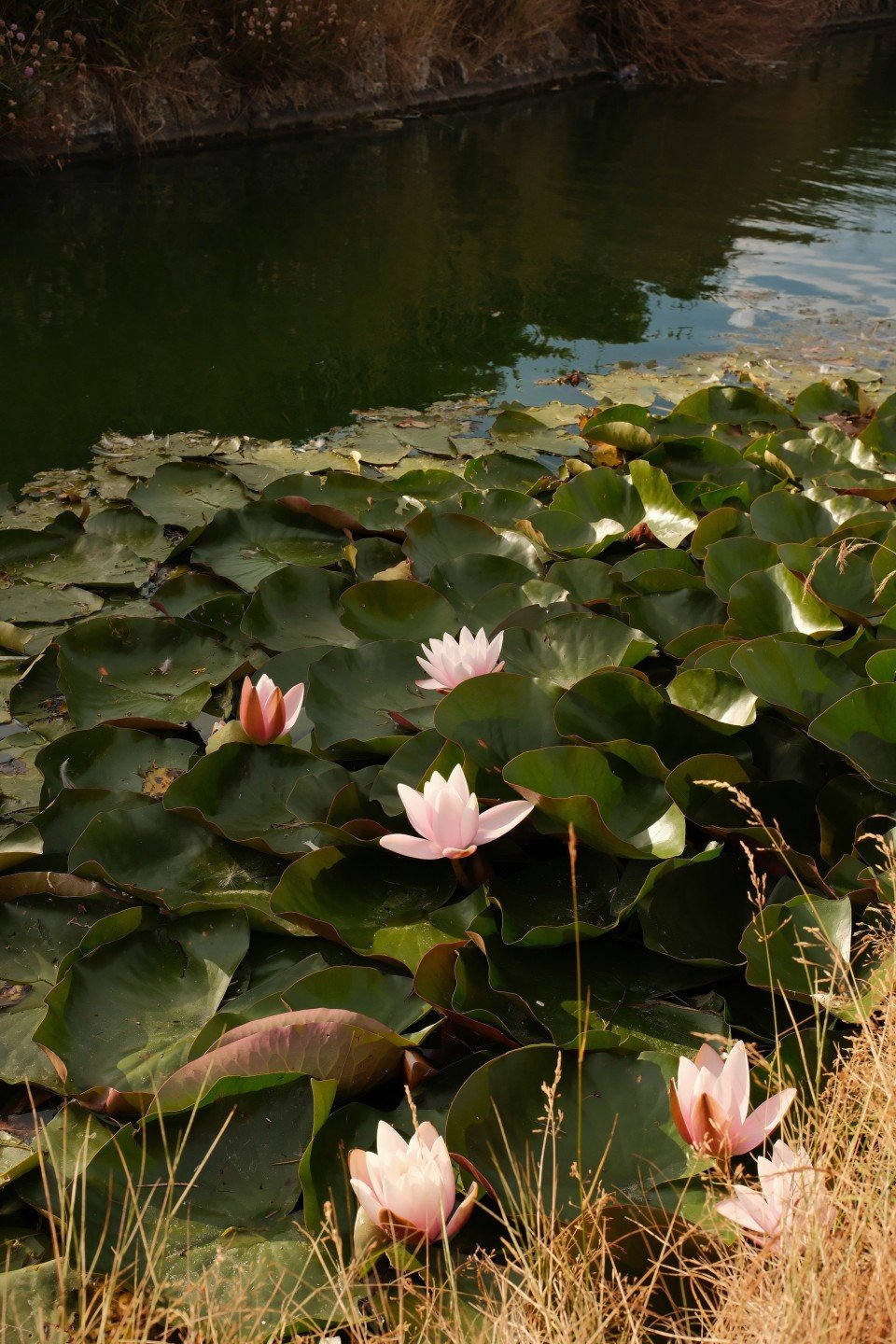 3 Image 3