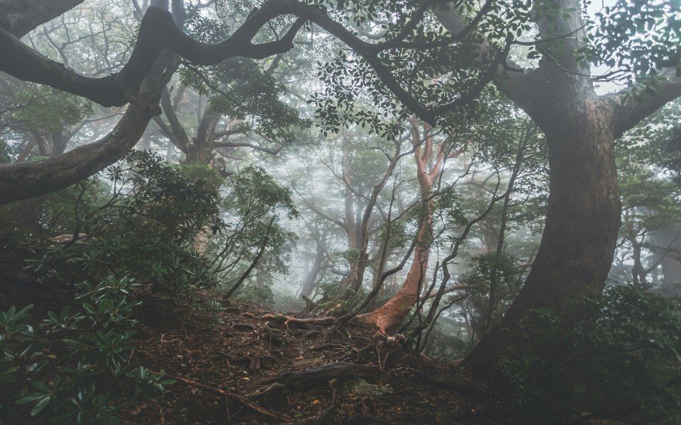 15 Image 15