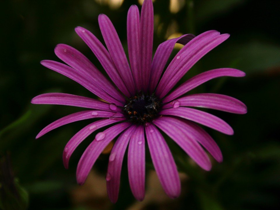 13 Image 13