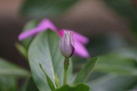 9 Image 9