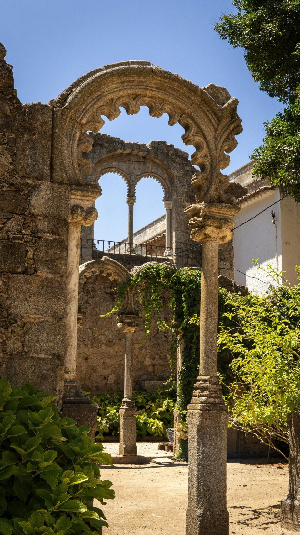 19 Image 19