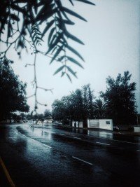 5 Image 5