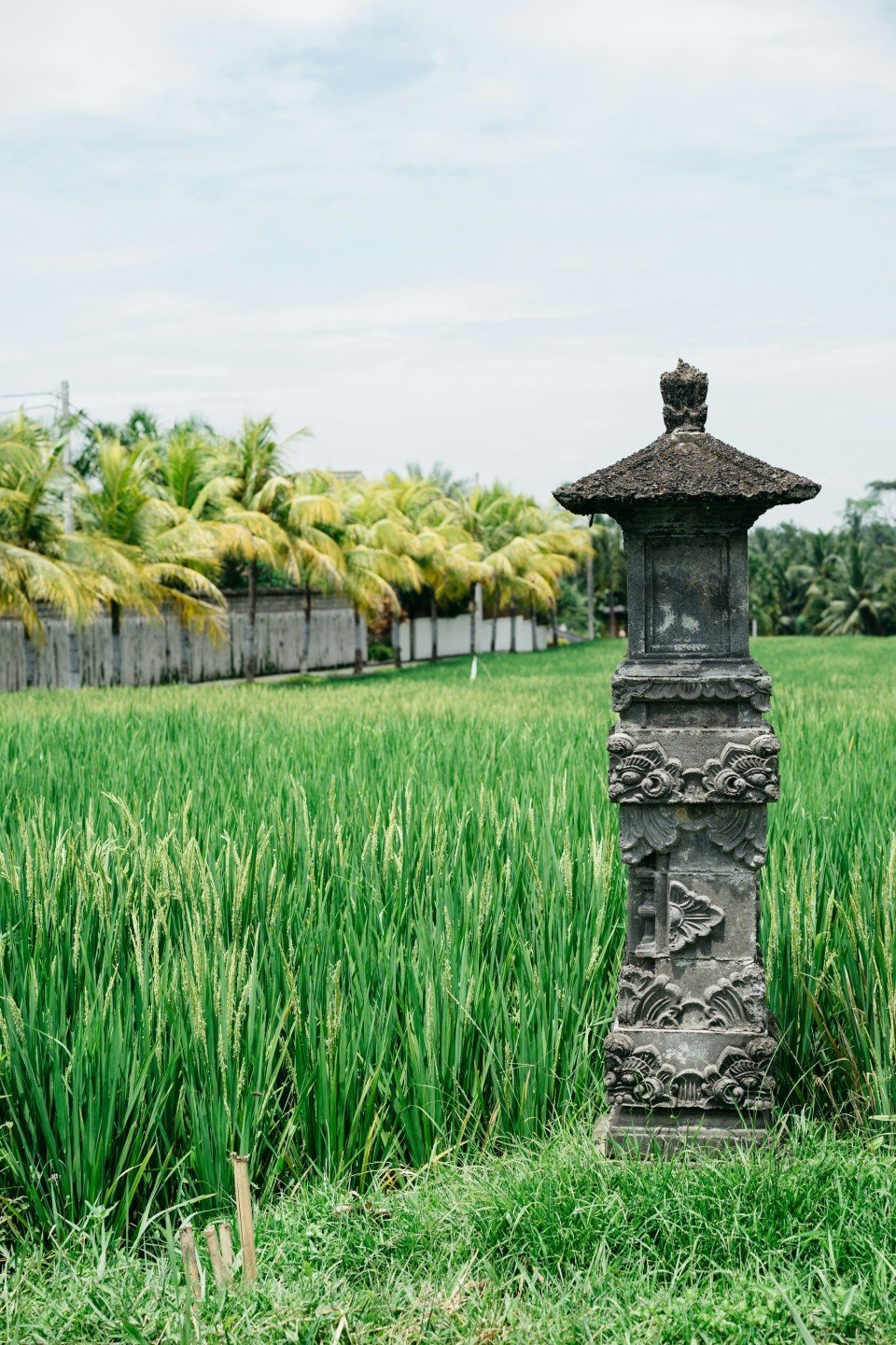 9 Image 9