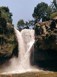 5 Image 5