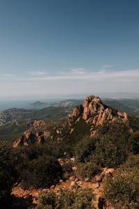 6 Image 6