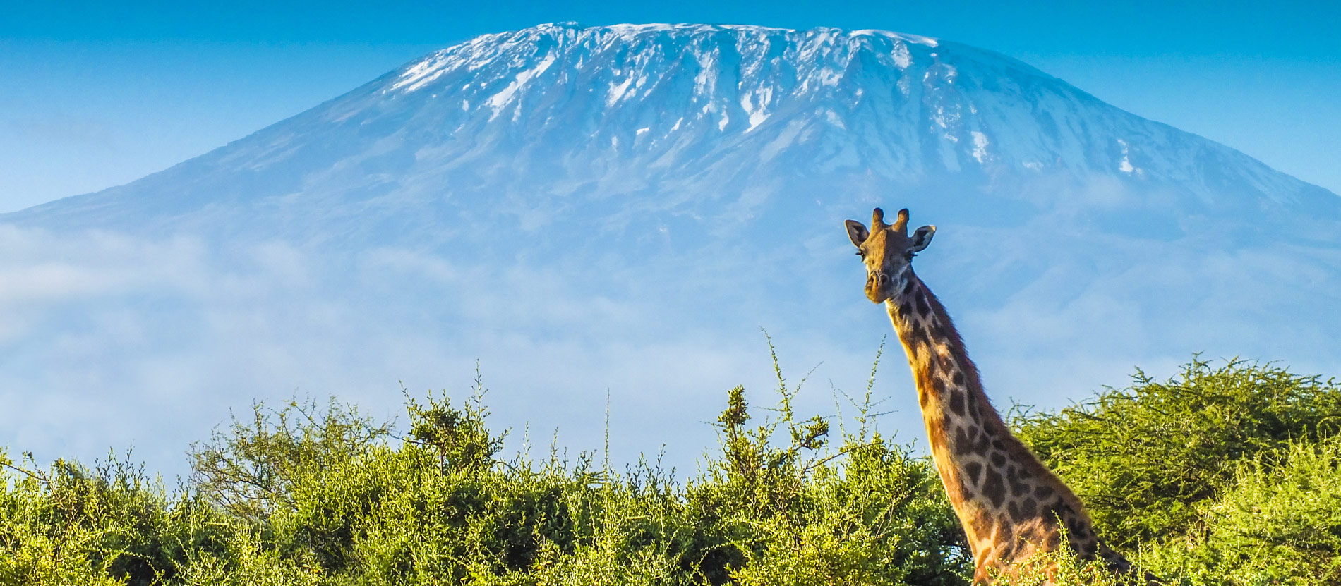 Africa