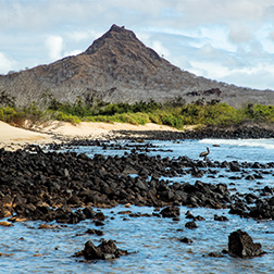 Galápagos