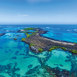 Galápagos