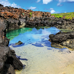 Galápagos