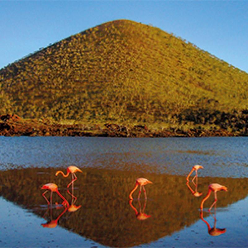 Galápagos