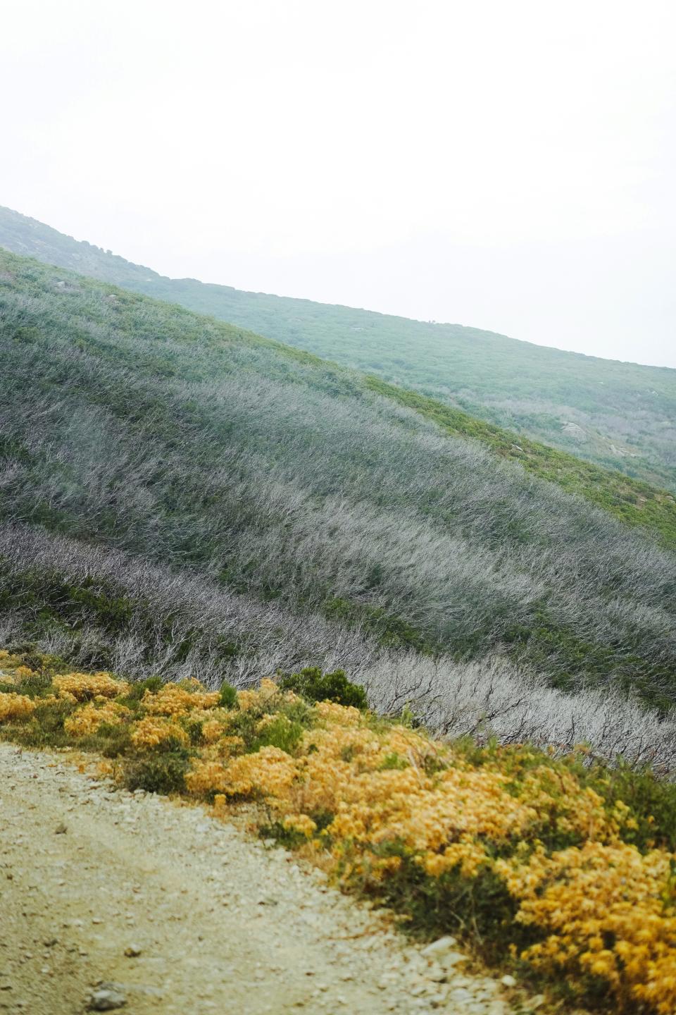 9 Image 9