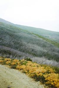 9 Image 9