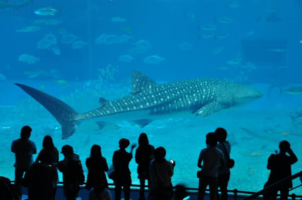 7 Image 7