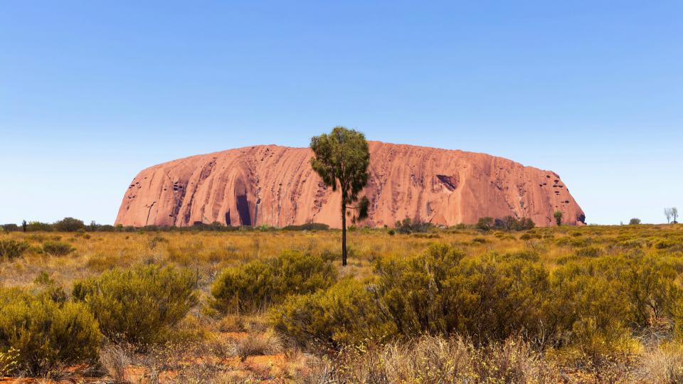 5 Image 5