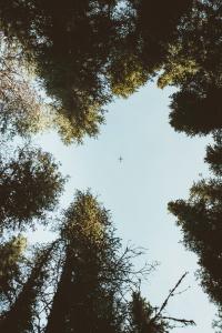 12 Image 12