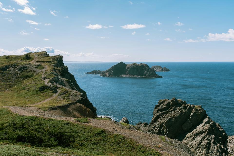 5 Image 5