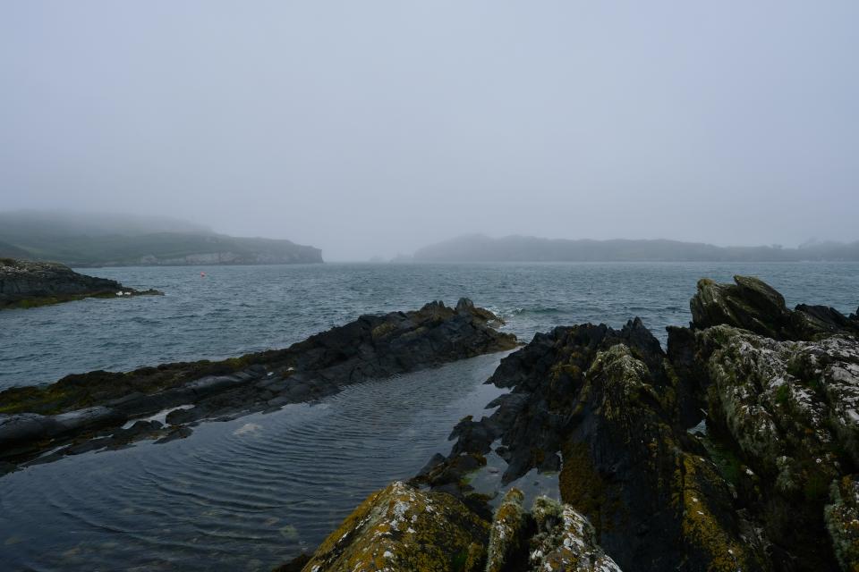 12 Image 12