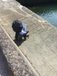 7 Image 7