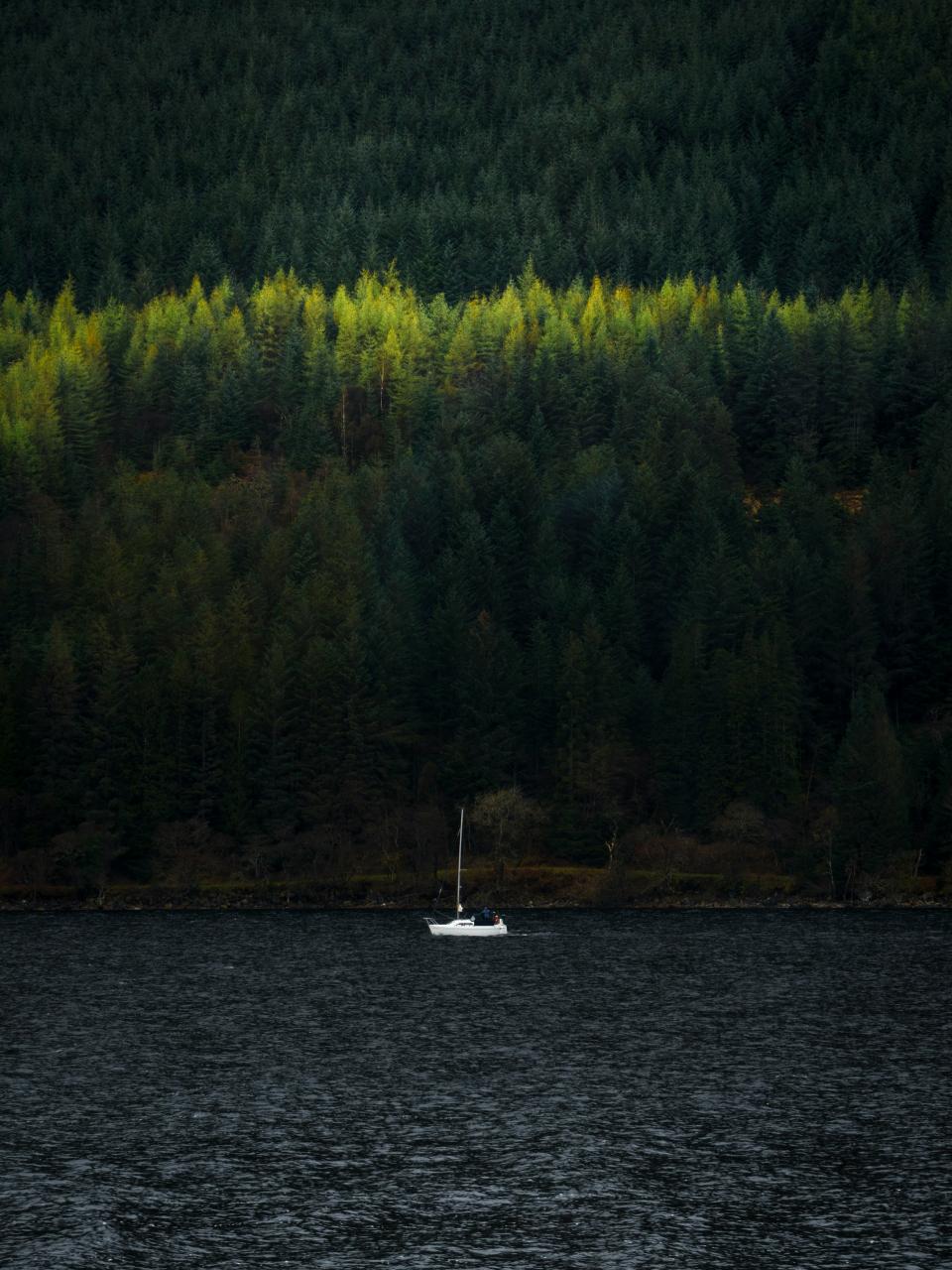 8 Image 8