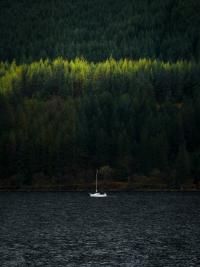 8 Image 8