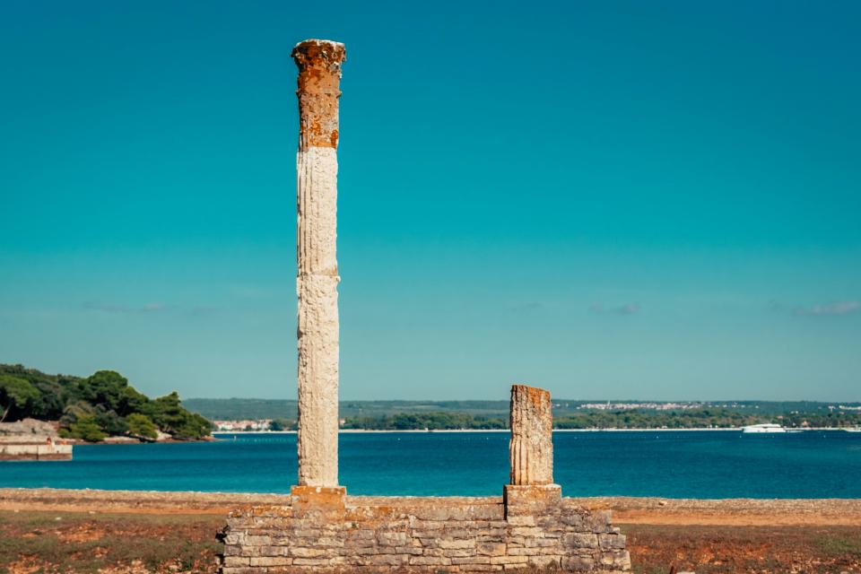 11 Image 11