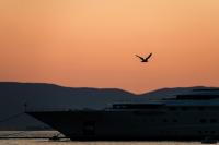 14 Image 14