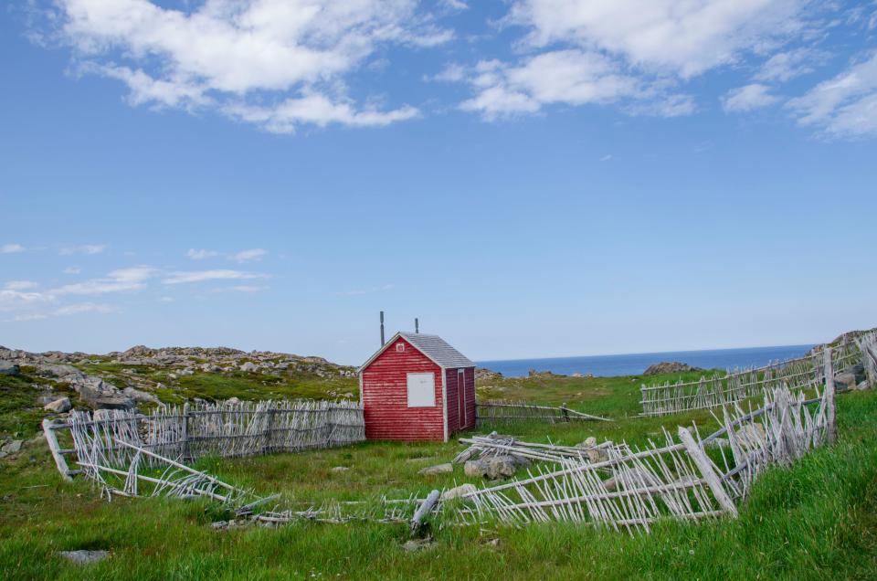 8 Image 8