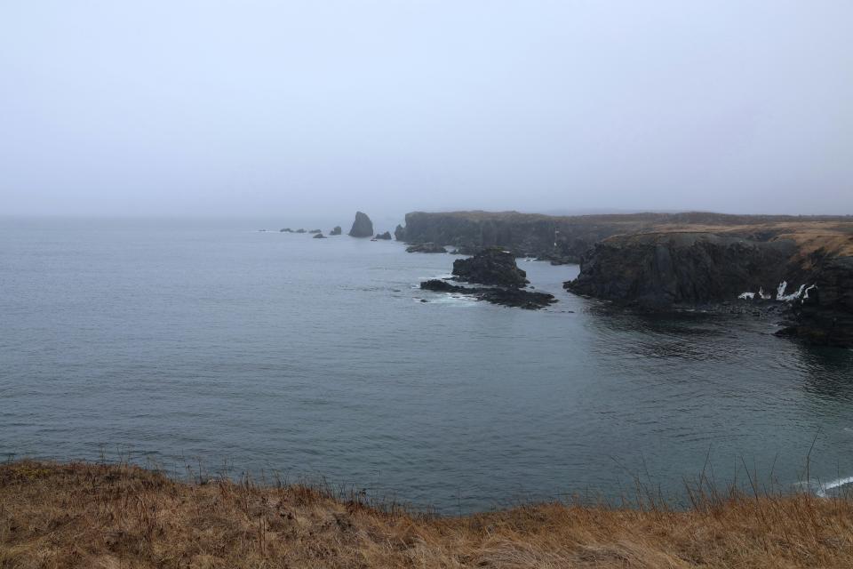 11 Image 11