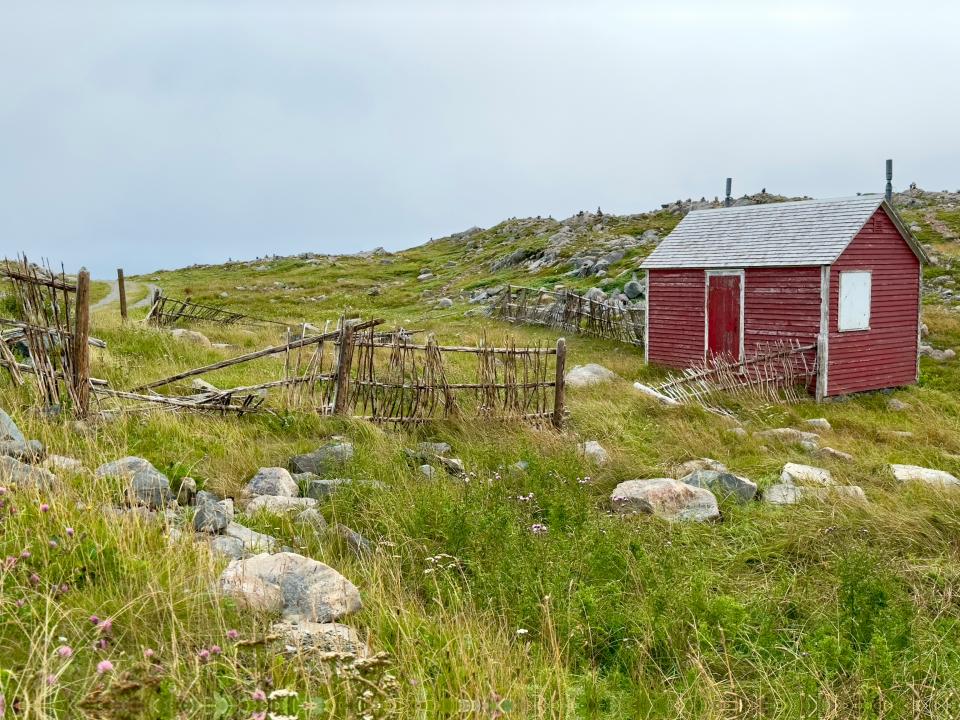 9 Image 9