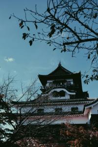 33 Image 33