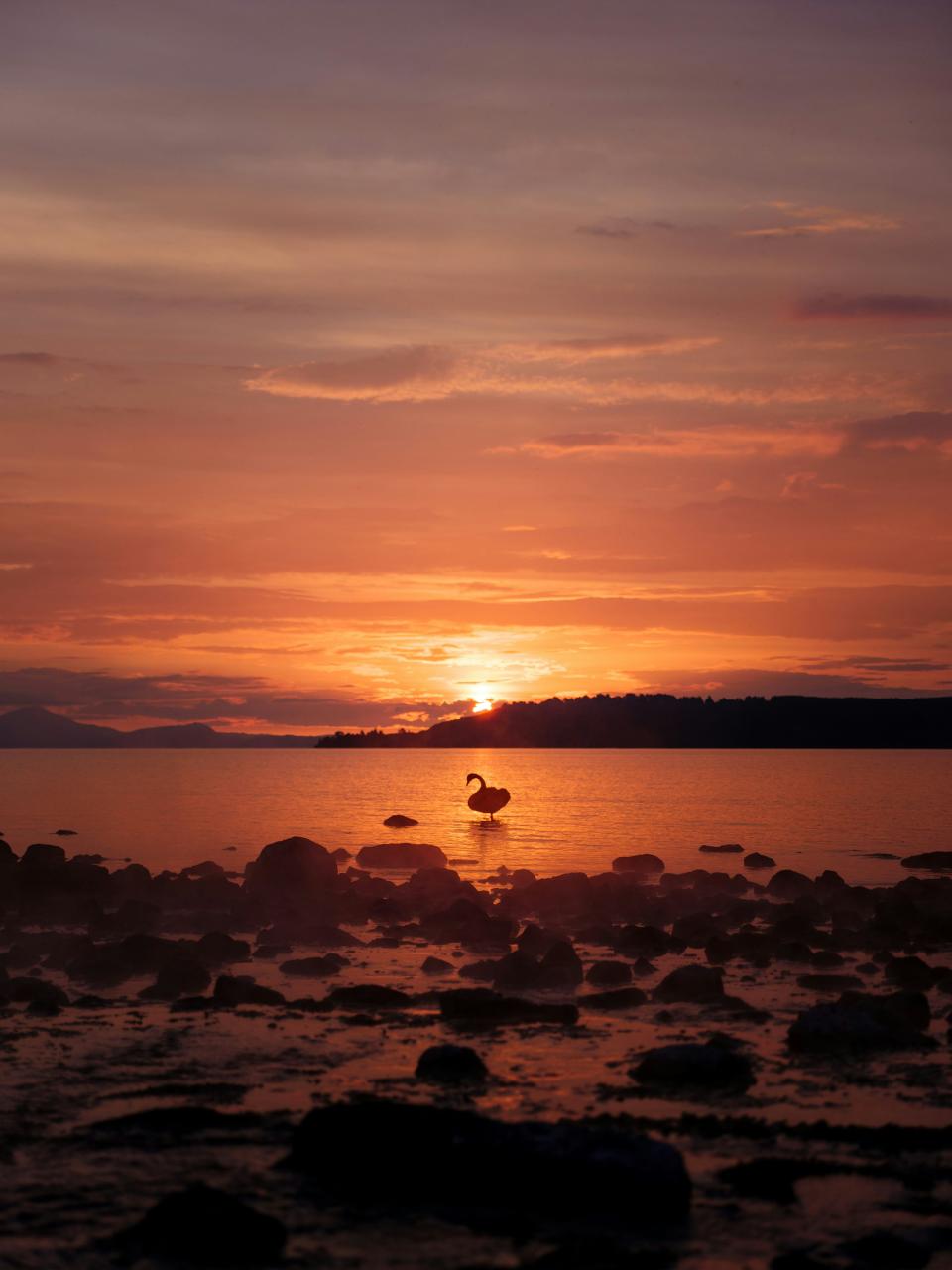 Espiritu Santo Island